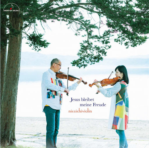 伊人网伊人影院
